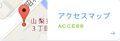 アクセスマップ ACCESS